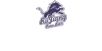 魯鮮啤酒